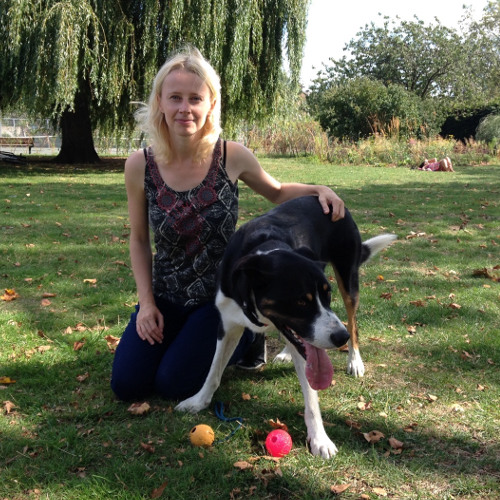 Lucie's Pet Care – Dog walking & Pet sitting North London